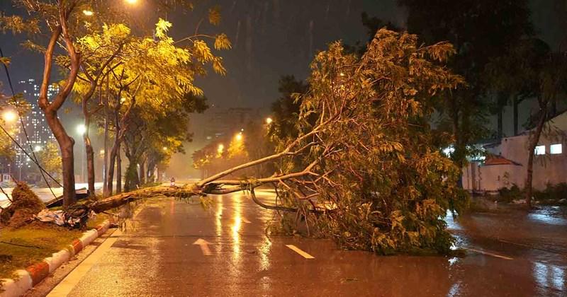 Quang cảnh một con phố sầm uất gần khu vực Mễ Trì Nam Từ Liêm với nhiều cửa hàng và phương tiện giao thông